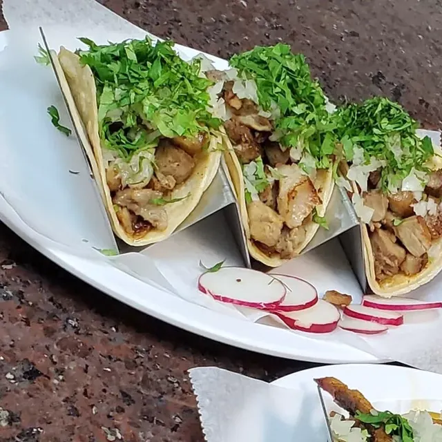 Tacos with grilled pork, cilantro and onion on a metal rack, with sliced radish